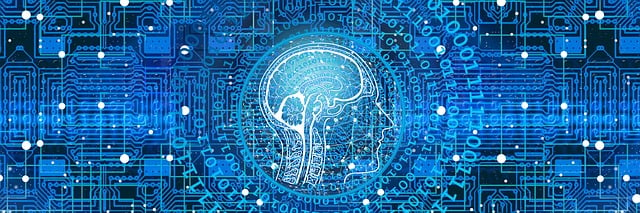 AI Wise Mind Review